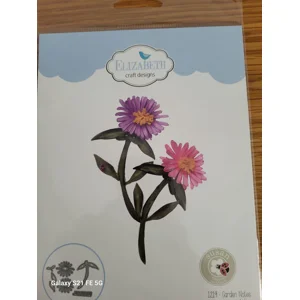 Garden Notes - Aster