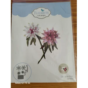 Garden Notes - Astrantia
