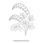Beautiful Blooms Colouring Book