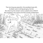 Mazin and the Very Busy Beaver: Mazin's Woodland Adventures