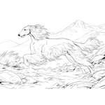 Working Dogs Colouring Book