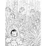 Woodland Wildlife Colouring Book