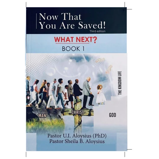 Now that You are Saved, What Next? (Book 1)