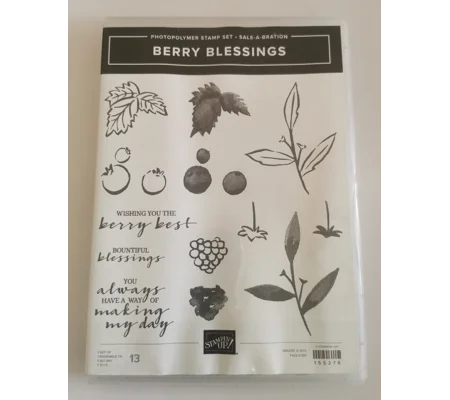 Stampin' UP! Berry Blessings Stamp Set