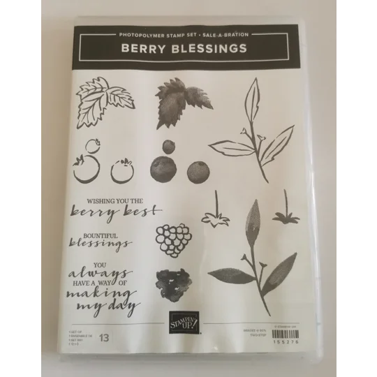 Stampin' UP! Berry Blessings Stamp Set