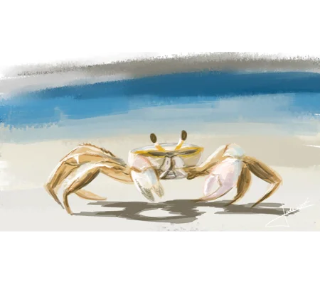 Carte Postale Crabe