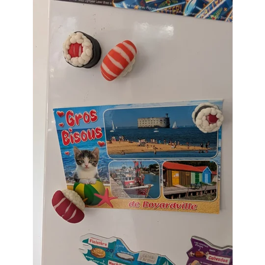 Magnets Sushi Saumon et thon