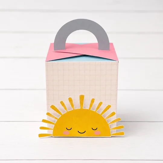 Around the Sun Carry Box