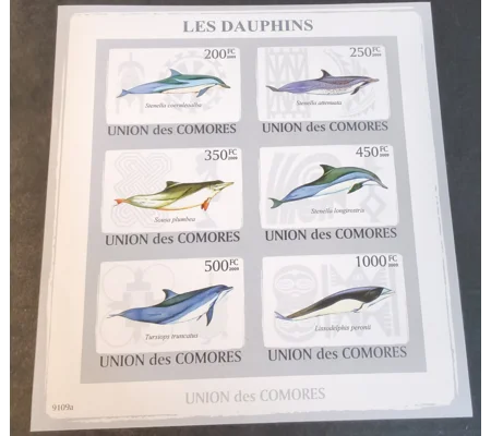 Comores 2009 Dolphins MS
