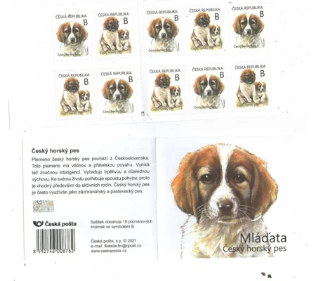 Czech 2021 Booklet MUH