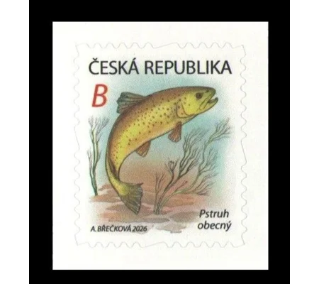 Czech 2026 Brown Trout MUH