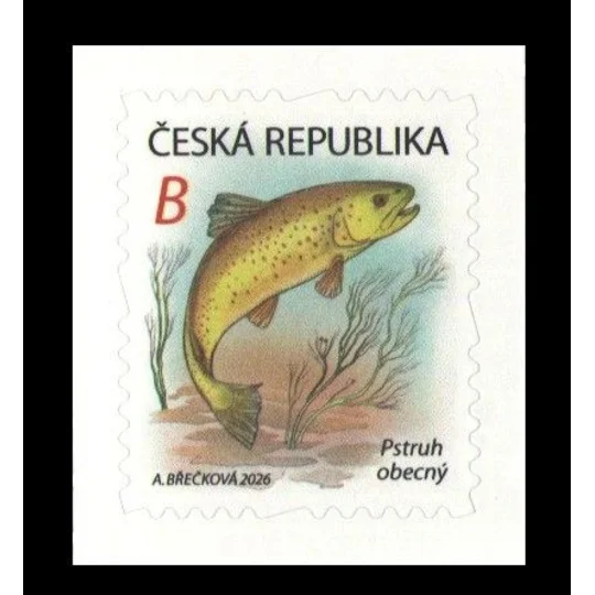 Czech 2026 Brown Trout MUH