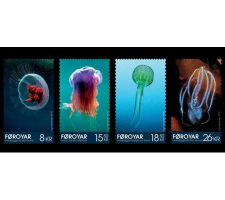 Faroe 2014 Jellyfish (4) MUH