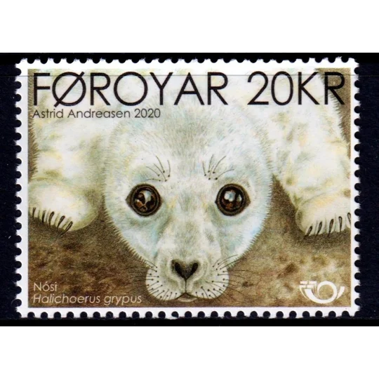 Faroe 2020 Seal Pup MUH