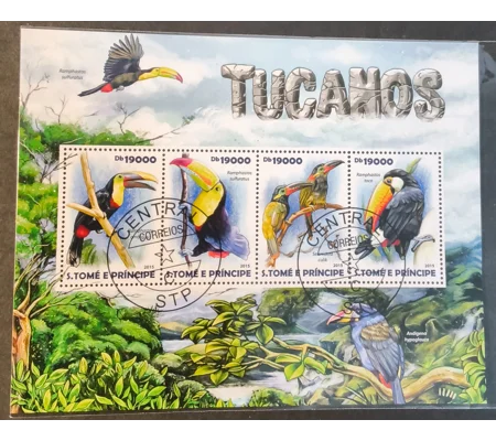 St Thomas 2015 Tucan Birds MS