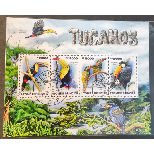 St Thomas 2015 Tucan Birds MS