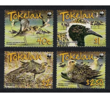 Tokelau 2007 Golden Plover (4) MUH