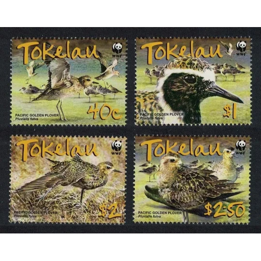 Tokelau 2007 Golden Plover (4) MUH