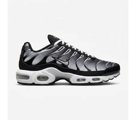 Nike Air Max Plus "Black / Metallic Silver / White" (Gradient Mesh)