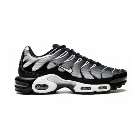 Nike Air Max Plus "Triple Black"