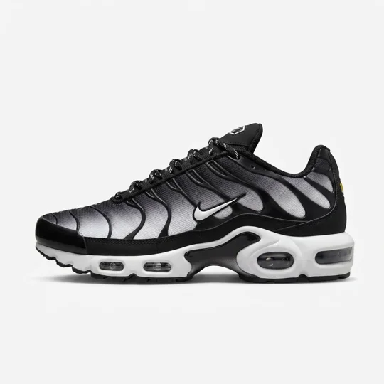 Nike Air Max Plus "Black / Metallic Silver / White" (Gradient Mesh)