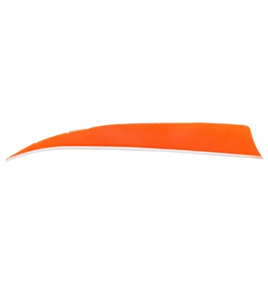 3 Shield feathers RW