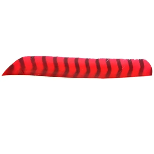 Barred full length feather fletchings