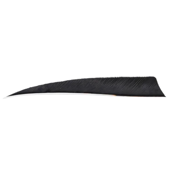 4" Shield feathers RW
