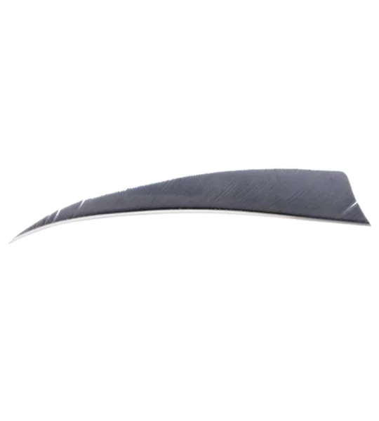 4" Shield feathers RW