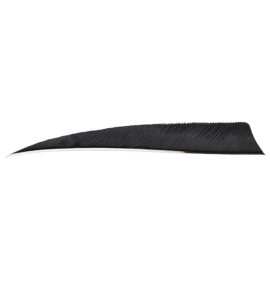 5" Shield feathers RW