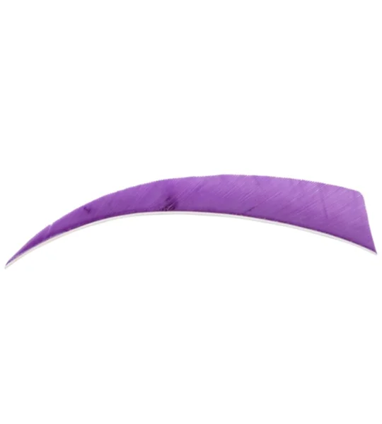 5" Shield feathers RW