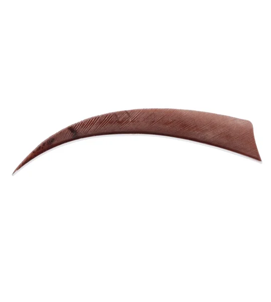 5" Shield feathers RW