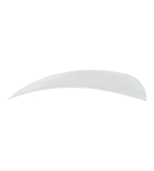 4" Parabolic feathers RW