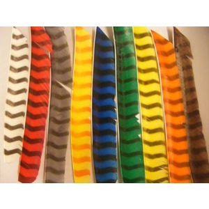 Barred full length feather fletchings