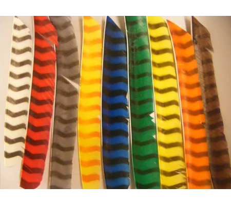 Barred full length feather fletchings