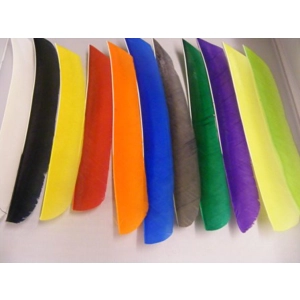Solid colour full length feather fletchings