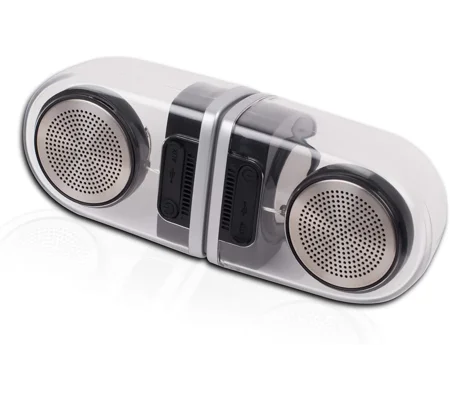 Dual magnetic speakers