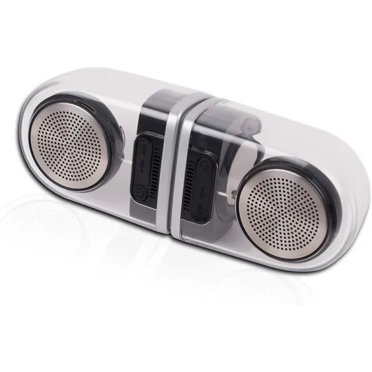 Dual magnetic speakers