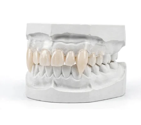 Vampire Teeth