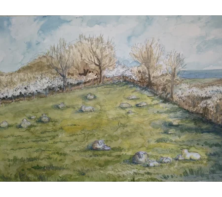 Baa lambs and blackthorn