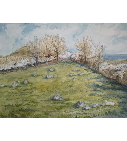 Baa lambs and blackthorn