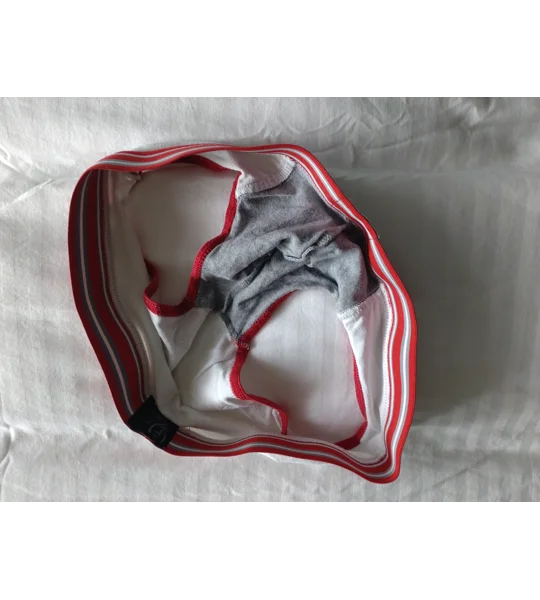 Timoteo Briefs