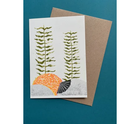 Kelp