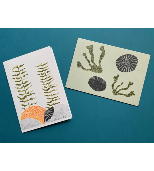 Kelp
