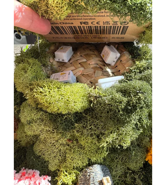 Enchanted Forest Wearable Art Hat | Miniature Sprout Garden | Fairy Garden Diorama | Handmade Fantas