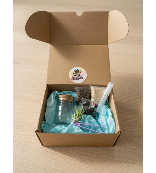 DIY Live Garden Terrarium Kit – Mini Plants, Mushroom Figurine, Glass Jar