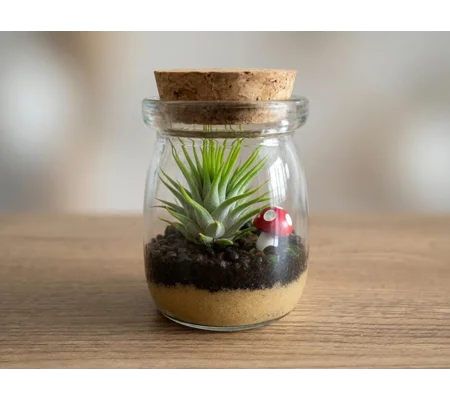 DIY Live Garden Terrarium Kit – Mini Plants, Mushroom Figurine, Glass Jar