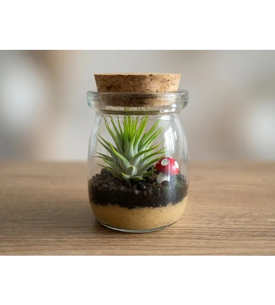 DIY Live Garden Terrarium Kit – Mini Plants, Mushroom Figurine, Glass Jar