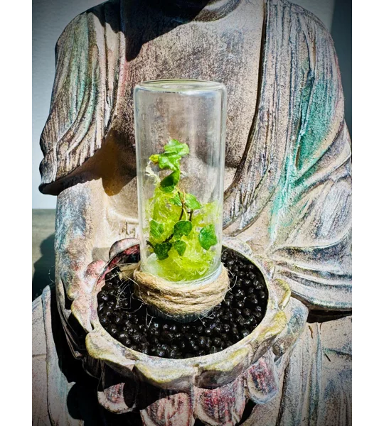 Handmade Teeny Tiny Terrarium - String Of Frogs - Ficus Pumila