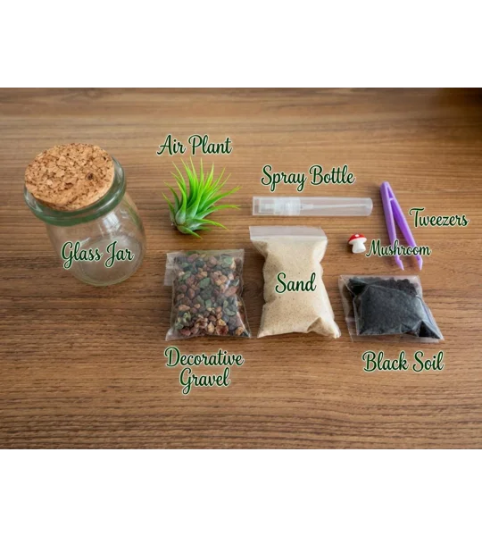 DIY Live Garden Terrarium Kit – Mini Plants, Mushroom Figurine, Glass Jar